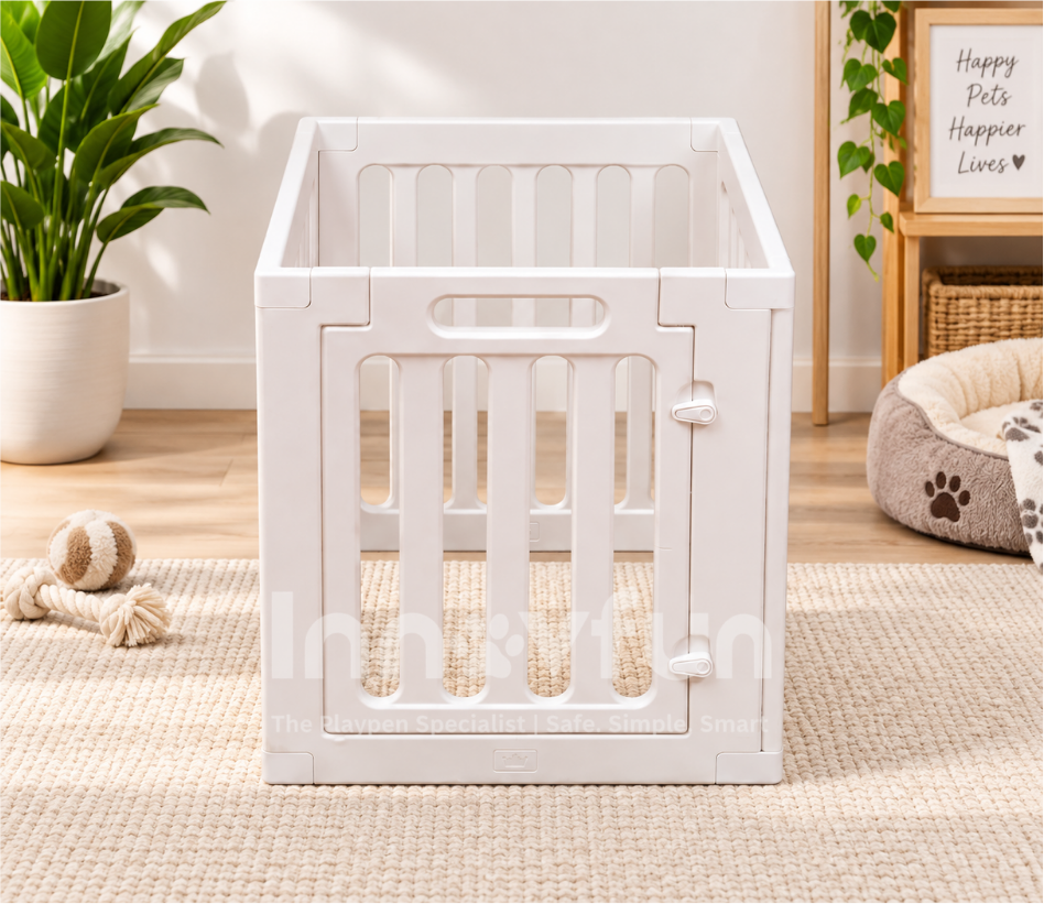 Puppy Toilet Training: Can a Dedicated Puppy Space Help?